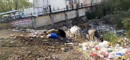 शाम होते ही दुकानदार सड़कों पर फेंक रहे कचरा