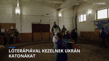 Lóterápiával kezelnek ukrán katonákat