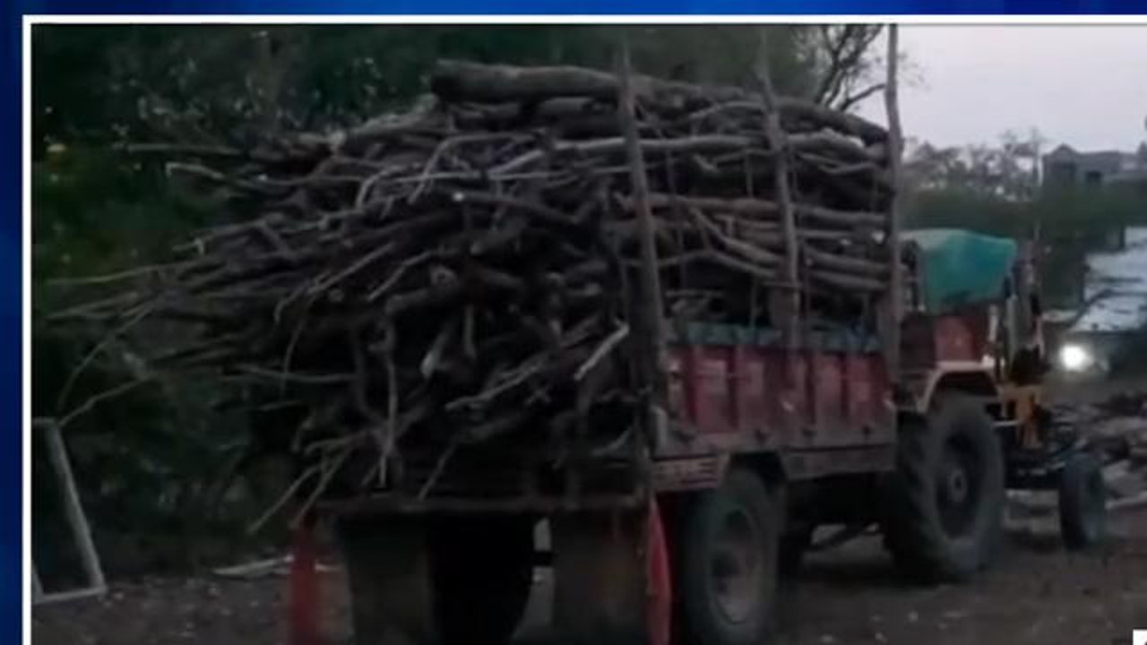 अलीराजपुर : अवैध लकड़ी से भरा ट्रैक्टर ट्राली जब्त