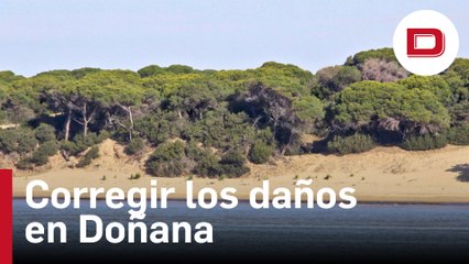 Europa amenaza con sanciones a España por el plan de regadíos en Doñana