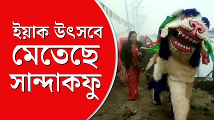 দার্জিলিঙে শুরু হল ইয়াক উৎসব