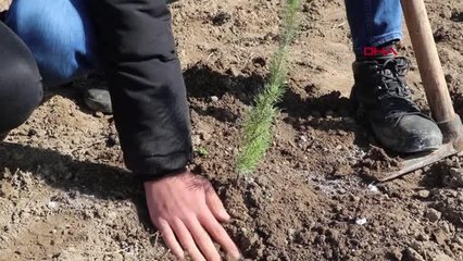 DEPREMZEDELER İÇİN FİDAN DİKTİLER