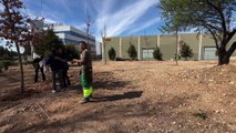 Torrejón de Ardoz  crea el Bosque de Ucrania 