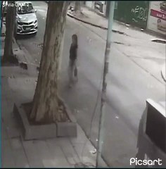 Villa Luro: una mujer tiró a la basura a su perra