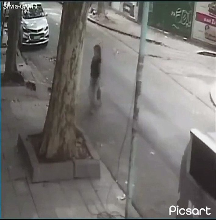 Villa Luro: una mujer tiró a la basura a su perra