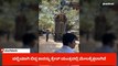 ಮಂಗಳೂರು :ಕೋರ್ಟ್ ಮುಂಭಾಗದಲ್ಲಿ ಪಲ್ಟಿ ಹೊಡೆದ ಕಾರು; ರಿವರ್ಸ್ ತೆಗೆಯುವ ಯತ್ನದಲ್ಲಿ ಅವಾಂತರ