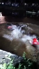 Sempat Teriak, Remaja Perempuan Diduga Tenggelam Saat Main Ayunan Dekat Jembatan PHB Banjarmasin