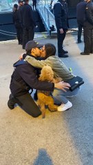 Popeye The Wiggly Welcoming Committee