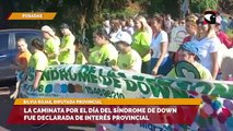 La caminata por el Día del Síndrome de Down fue declarada de Interés Provincial