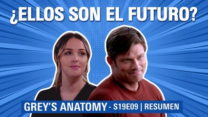 Grey's Anatomy 19x09 | FIESTA, PELEAS, PARTOS y FUTURA BODA | RESUMEN Temporada 19