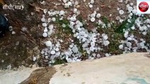 sidhi: Hail again in more than a dozen villages of Churhat zone