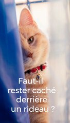 Mes p'tites histoires ‑ Made with FlexClip