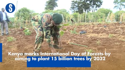 Kenya marks International Day of Forests by aiming to plant 15 billion trees by 2032