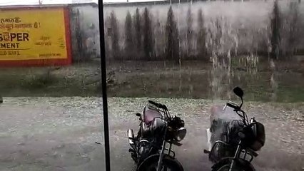 बे-मौसम बारिश व आसमान से गिरे ओले, फसल को नुकसान