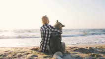 UK beaches: Can I walk my dog on the beach?
