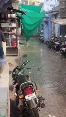 कनवास में ओलों के साथ तेज बारिश, फसलों को भारी नुकसान