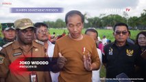 Tegas! Jokowi Ingatkan Bupati dan Mentan, Petani di Papua Jangan Merugi Pasca Panen