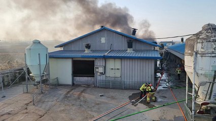 충남 당진 돈사 화재...돼지 535마리 폐사 / YTN