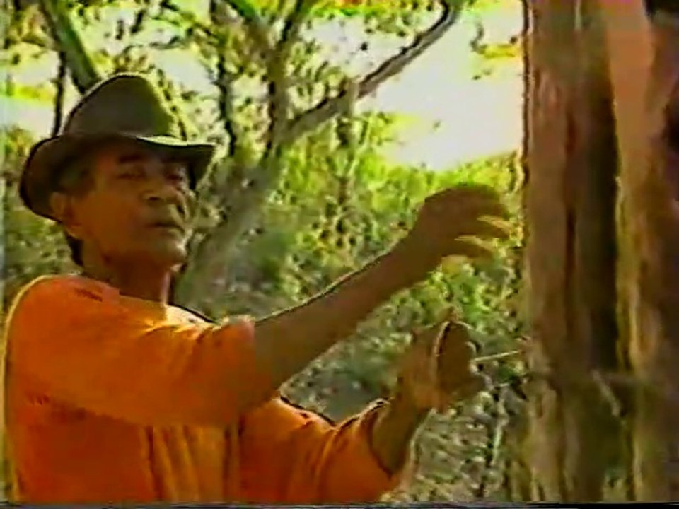 Ron Barceló - Somos un Pueblo que Canta - Chivo de la Loma