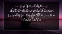 Allah os ki izzat ko bharata hai - Hadees Mubarak in Urdu - Hadees - Islamic Urdu PAKISTAN-