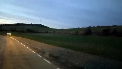 Asaja Soria denuncia con una "estampida de ciervos" el descontrol con los animales 'de caza'