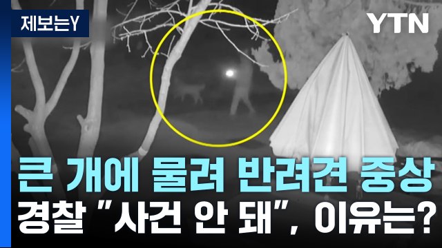 [제보는Y] 큰 개에 물려 반려견 중상...경찰 사건 안 돼 / YTN