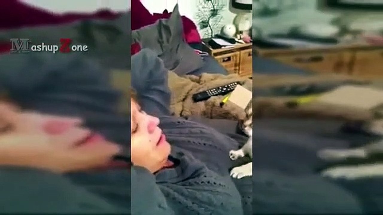 Funny Cats Hate Bad Singing Compilation   NEW