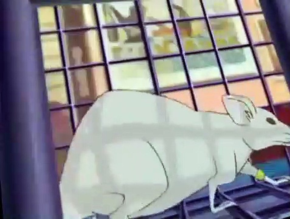 Loulou de Montmartre E004