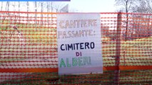 Bologna, alberi abbattuti nel cantiere del Passante