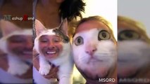 Funny Cats And Dogs Face Swap With Owners - Try Not To Laugh Or Grin (2)