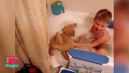 BATH TIME FOR DOGGOS