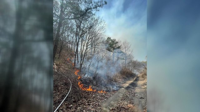 울산 울주군 삼정리 야산에서 불...2시간 만에 진화 / YTN