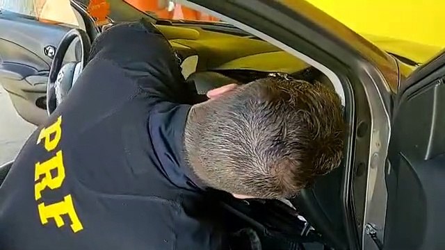 Motorista tenta fuga e PRF flagra carga milionária de cocaína na BR-101 em SC