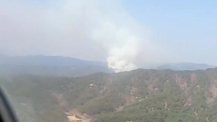 경북 안동 도산면에 산불...3시간 40분 만에 꺼져 / YTN