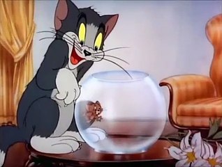 Tom and Jerry, 6 Episode - Puss n’ Toots (1942) - Tom and Jerry Cartoon