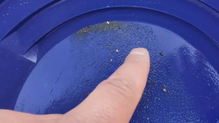 GOLD PROSPECTING IN THE RIVER The Golden Ratio