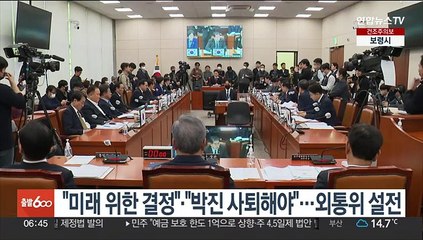 "미래 위한 결정"·"박진 사퇴해야"…외통위 설전