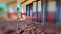 Remote NT residents taught skills to help with rebuild of flood ravaged regions
