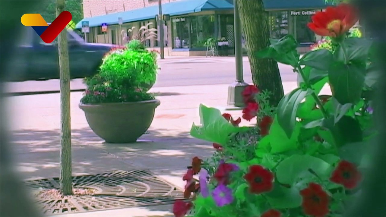 Conozca cómo prevenir el glaucoma