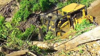 Hard Work in the Woods: A Bulldozer's Story of Strength and Strife