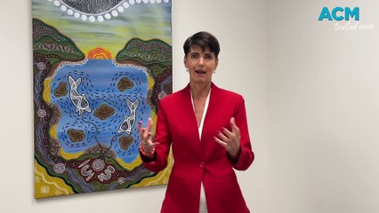 2023 NSW election: Port Stephens MP Kate Washington (Labor)