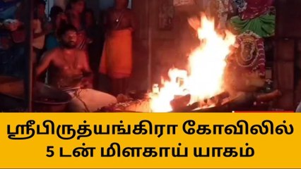 காஞ்சிபுரம்: 4500 கிலோ மிளகாய் வற்றல் கொண்டு நிகும்பலா யாகம்