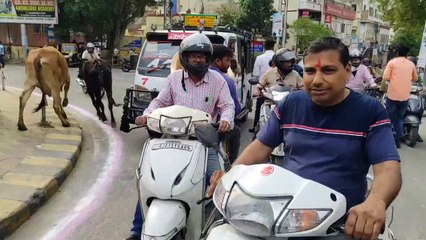 नव नवसंवत्सर Video: सजाई रंगोली, किया तिलक लगाकर स्वागत