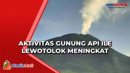 Gunung Api Ile Lewotolok Kembali Erupsi Sebanyak 25 Kali