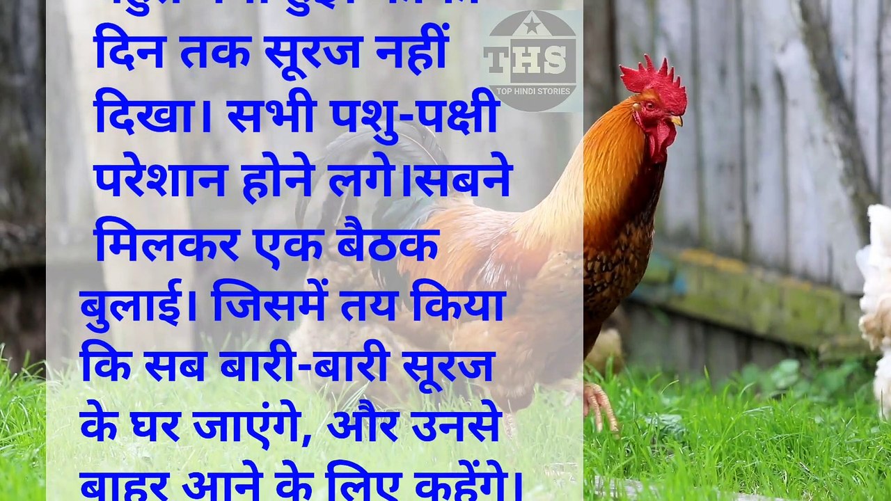 बुद्धिमान मुर्गा की कहानी | नैतिक कहानी |#Romantic kahani |Top hindi stories|