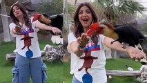 Shilpa Shetty का Dubai Fame Park से Bird Feed Full Video, Dubai Zoo क्यों है Famous | Boldsky