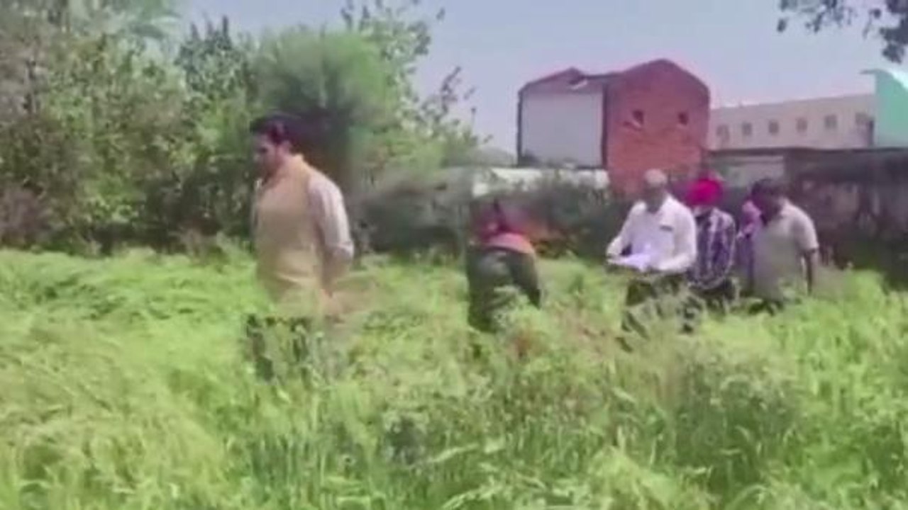 कटनी: ओला वृष्टि से फसलों के नुकसान का कलेक्टर ने लिया जायजा