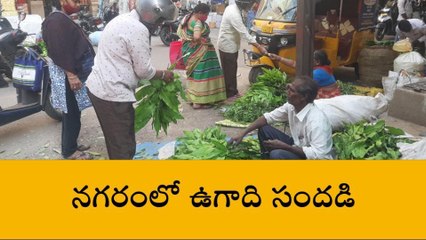 హైదరాబాద్ : నగరంలో ఉగాది సందడి
