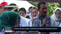 Penuhi Pasar Global, Menteri KKP Genjot Produksi Tilapia