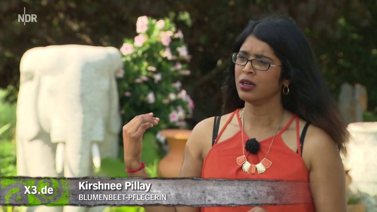 Illegales Blumenbeet in Dresden
